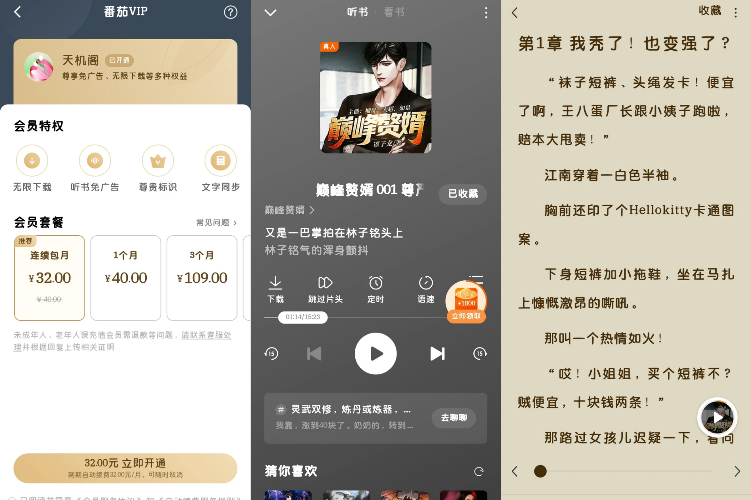 番茄畅听v4.1.0高级版-天机阁