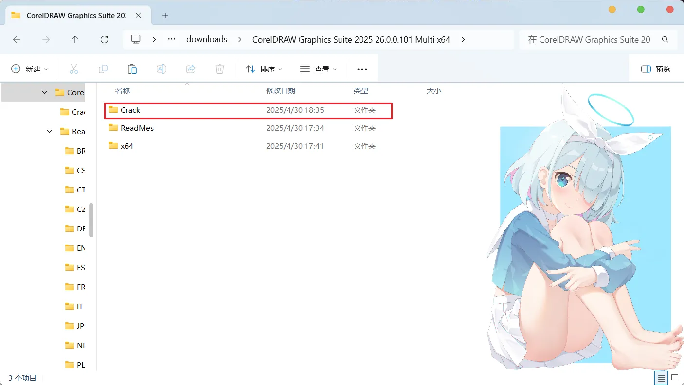 CorelDRAW Graphics Suite 2025 26.0.0.101 多语言版本 x64-天机阁 CorelDRAW Graphics Suite 2025 26.0.0.101 多语言版本 x64-天机阁