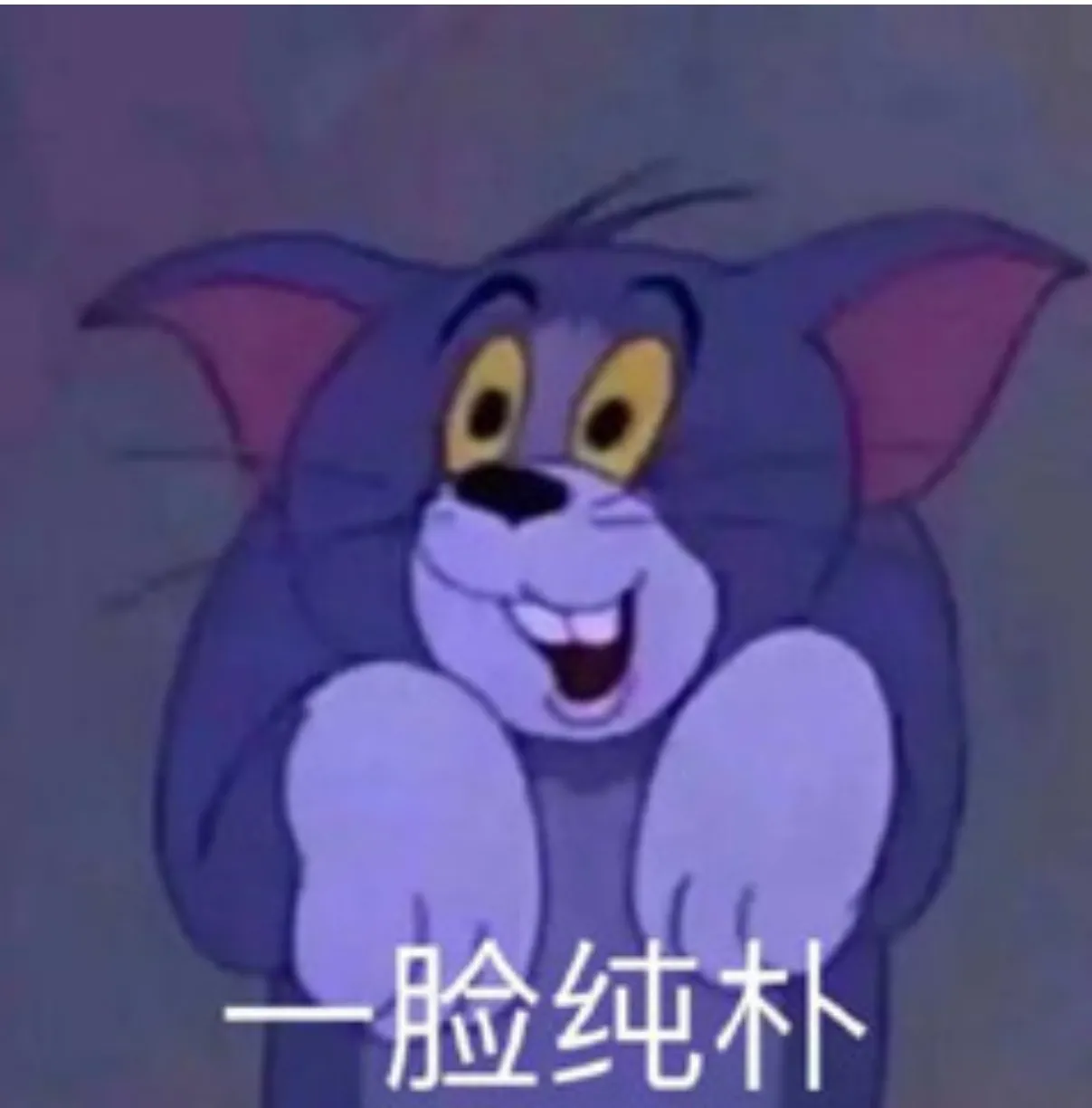 XelNaga的头像-天机阁