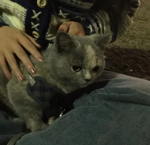 南烟的头像-天机阁