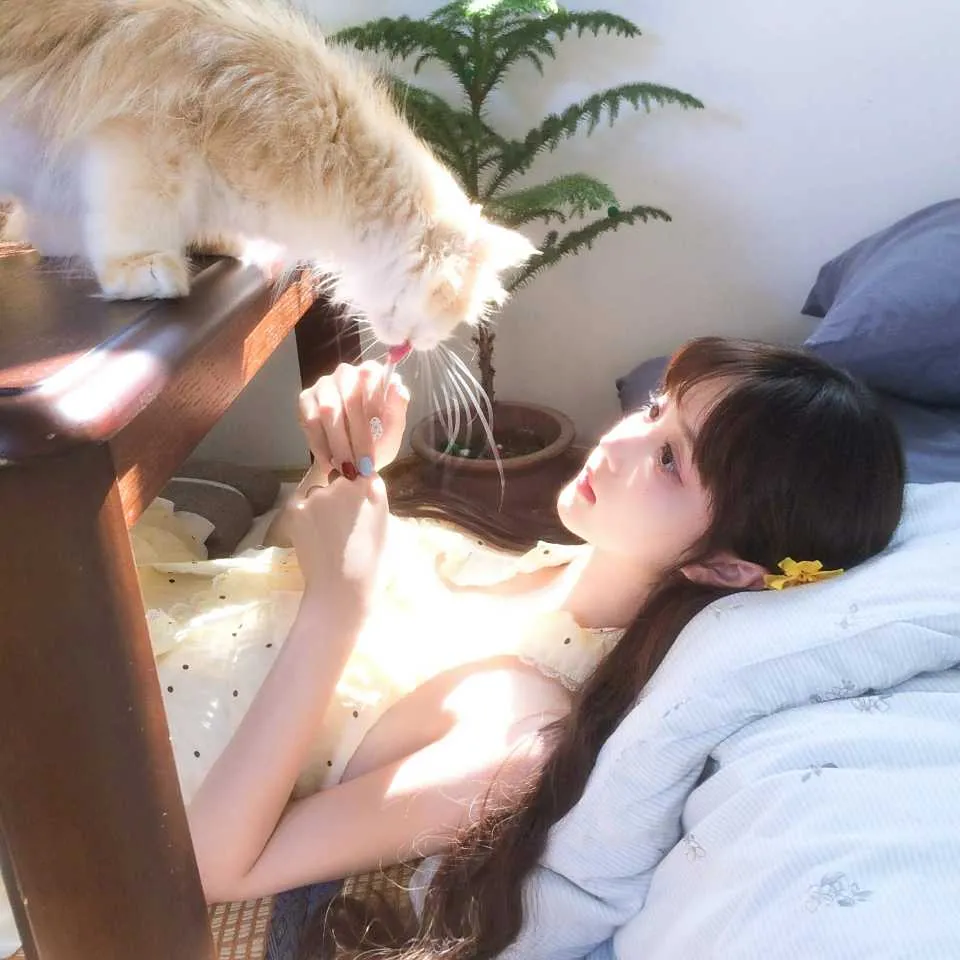 ouol的头像-天机阁