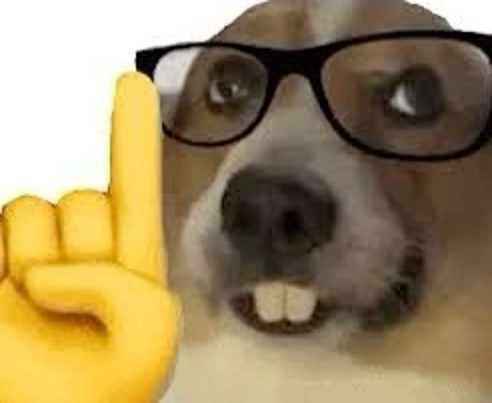 天龙狗鱼的头像-天机阁