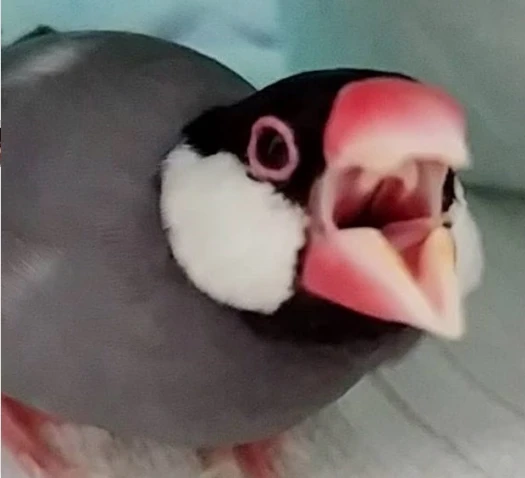 lucy860423的头像-天机阁