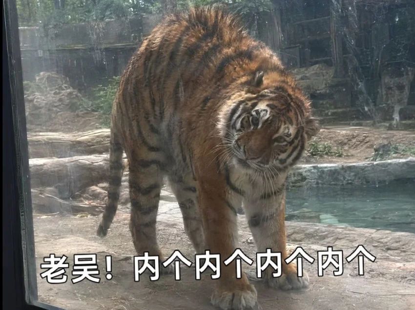 233ss的头像-天机阁